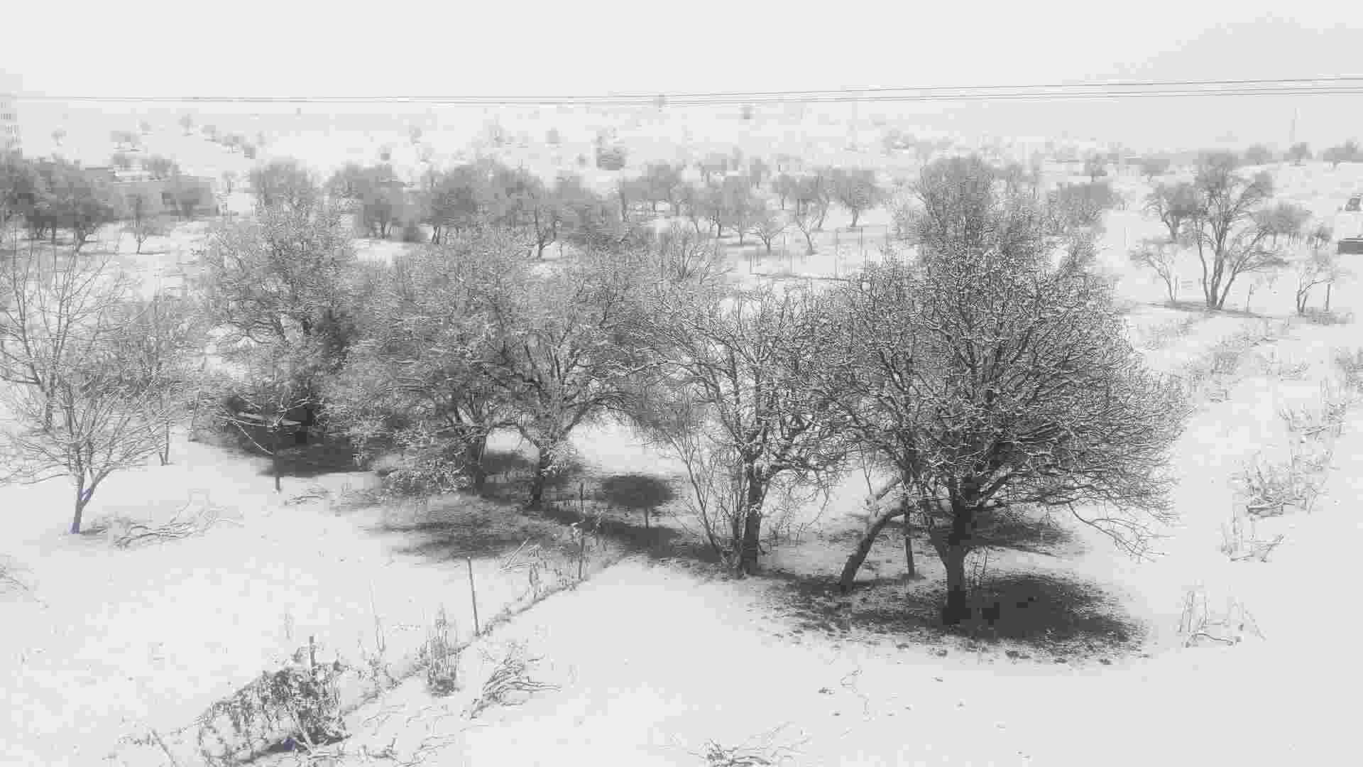 DİYARBAKIR’IN DİCLE İLÇESİNDE KAR YAĞIŞI SONRASI KARTPOSTALLIK GÖRÜNTÜ