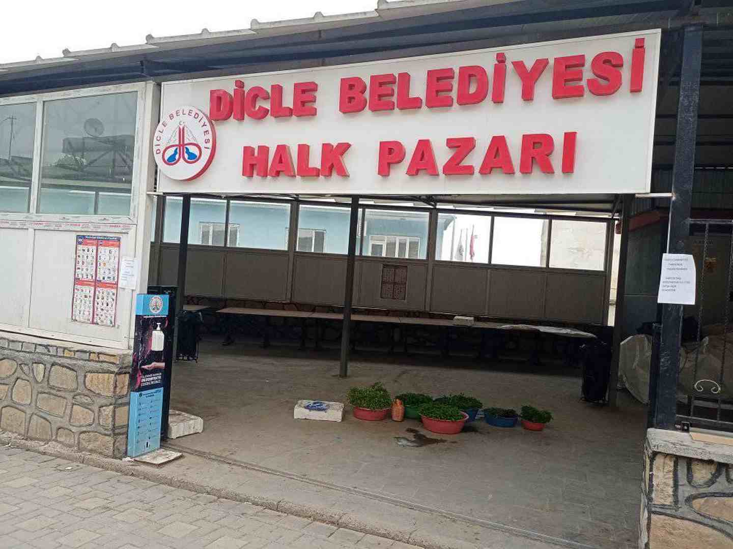DİCLE İLÇE HALK PAZARI YAŞ SEBZE VE FİDE SATIŞI İÇİN AÇILDI