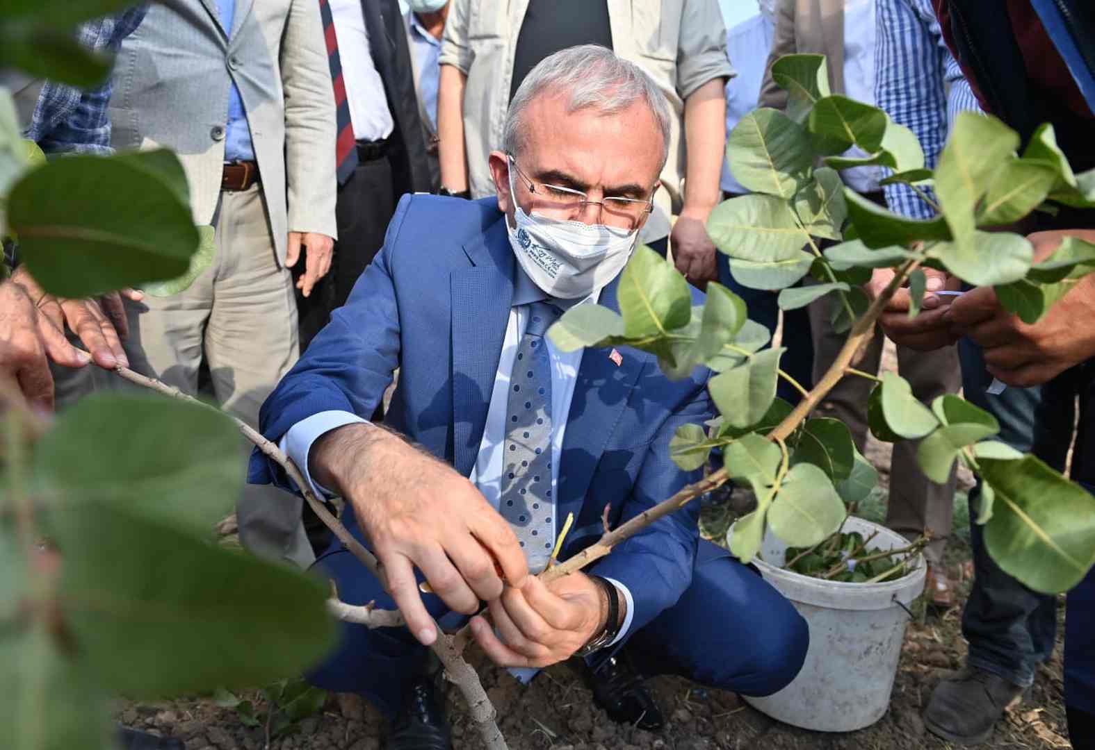 VALİ KARALOĞLU, 28 BİN AĞAÇLIK FISTIK AŞILAMA KAMPANYASINI BAŞLATTI