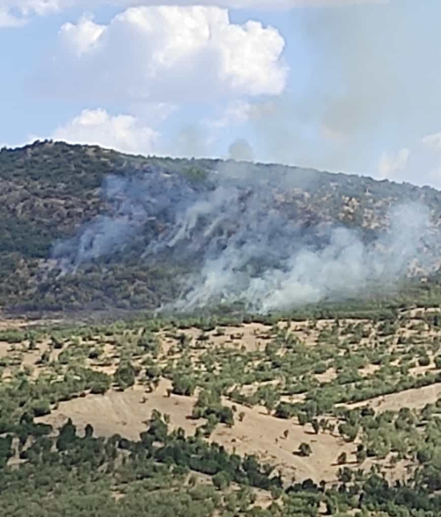 Dicle İlçesi kırsalında orman yangını çıktı