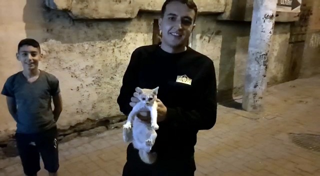 Yavru kediyi kurtarmak için 2 metrelik kazı yapıldı