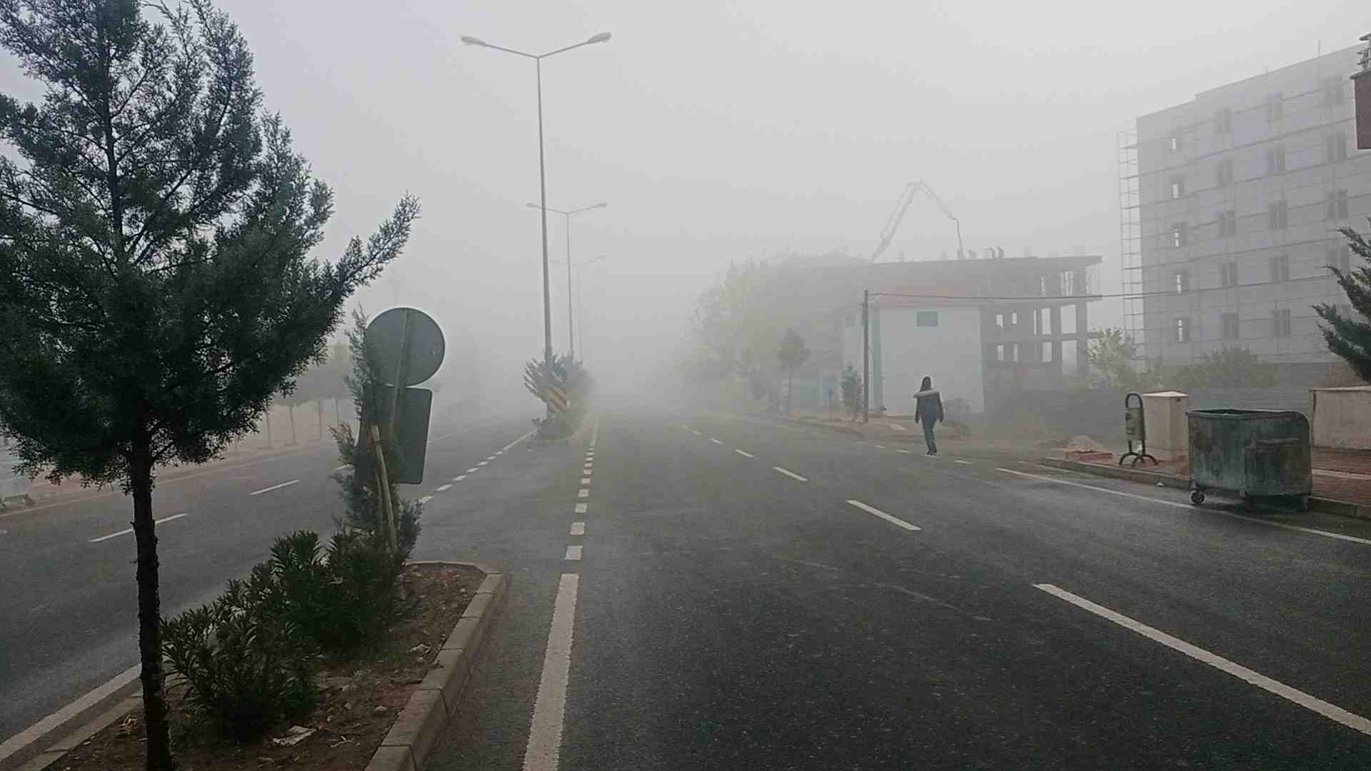 Dicle’de dün geceden beri görünen sis, öğle saatlerine kadar etkisini sürdürdü