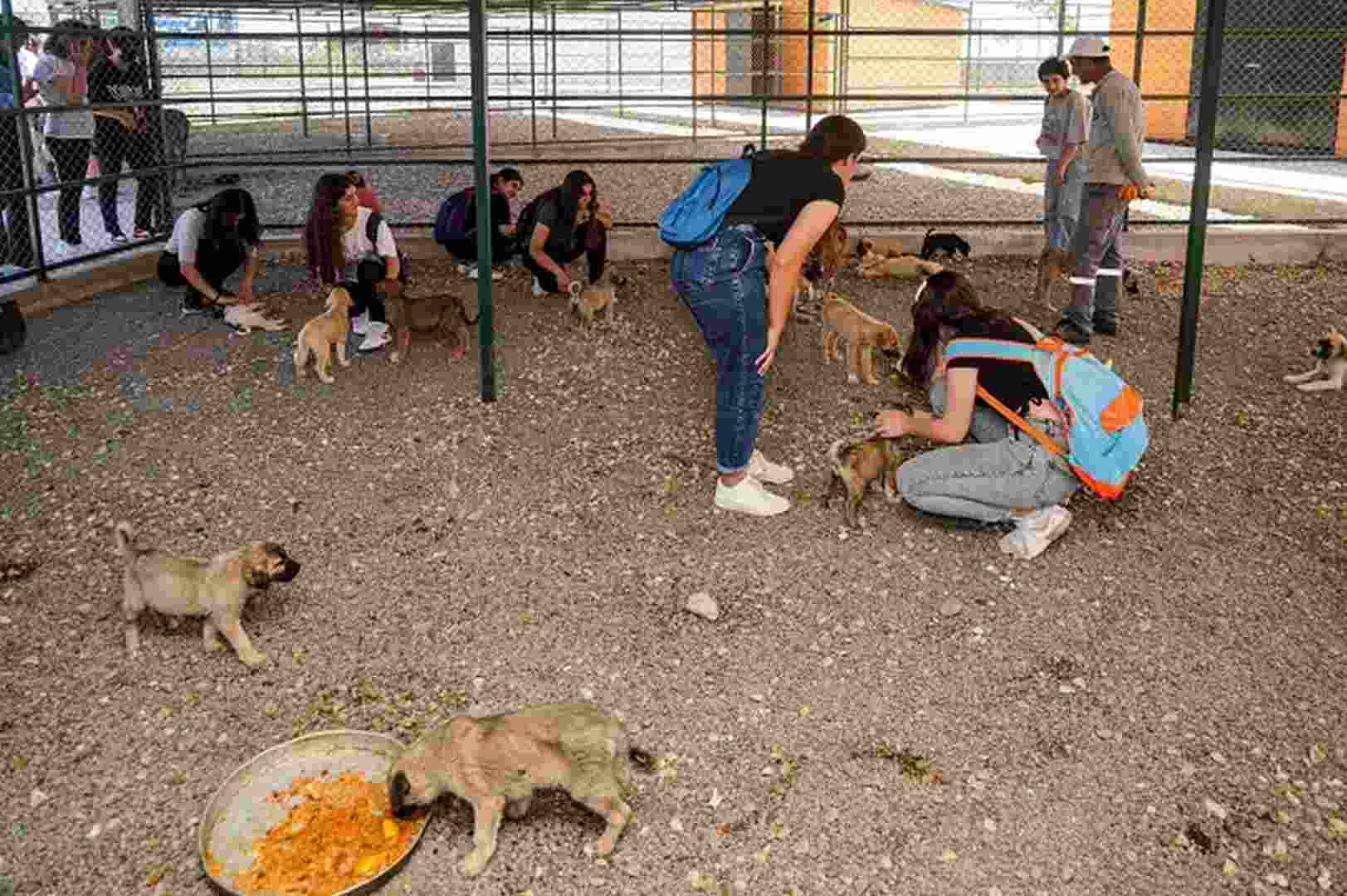 Öğrencilerden Hayvan Bakımevi’ne ziyaret