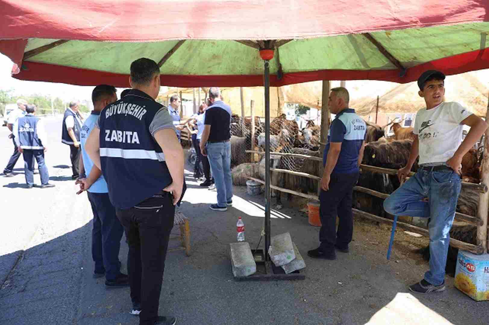 Zabıta’dan kaçak kurbanlık satış ve kesim yeri denetimi