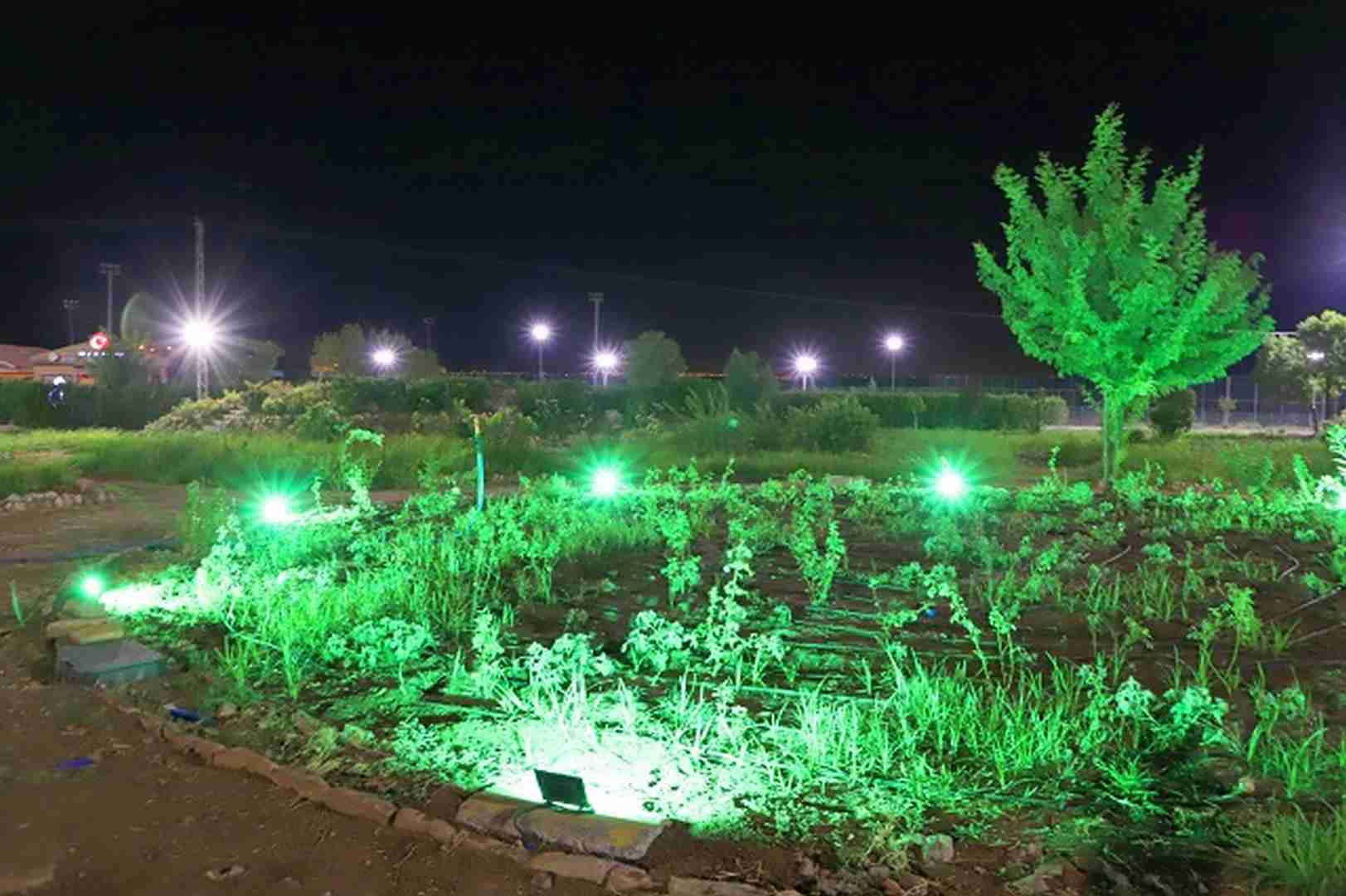 Piknik Alanı’nda çalışmalar tamamlanıyor