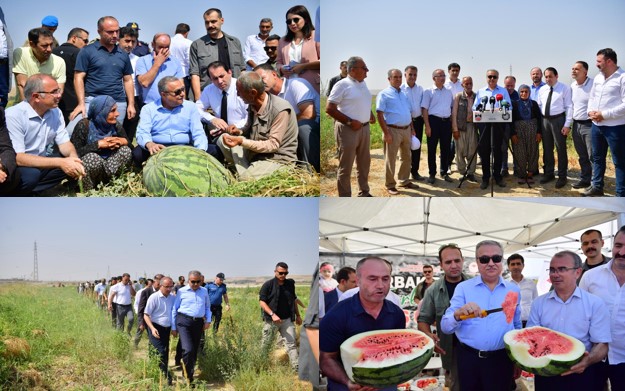 Vali Su: “Yaklaşık 121 bin ton karpuz üretiyoruz”