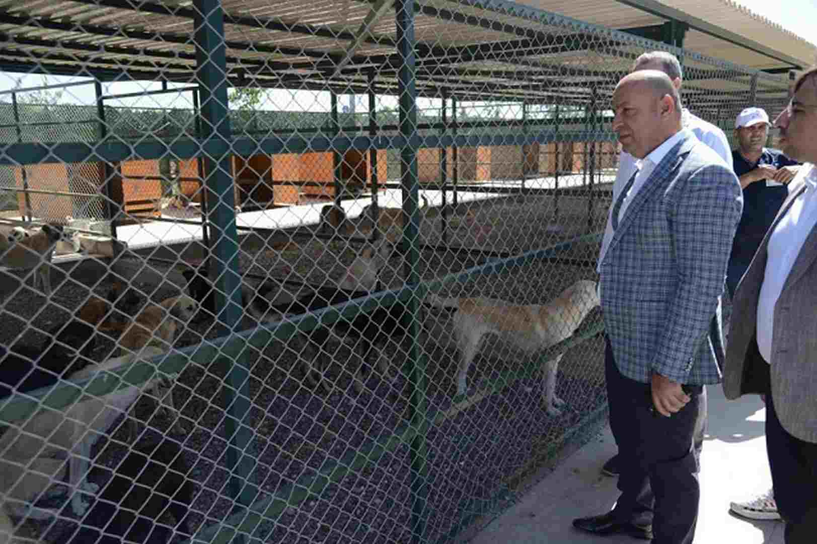 Genel Sekreter Çiftçi, can dostların kaldığı merkezde incelemede bulundu