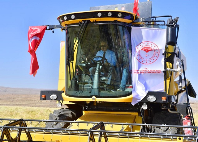 Vali Ali İhsan Su, Karacadağ çeltiği hasadına katıldı