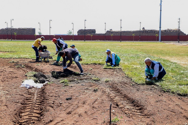 Cadde ve bulvarlar yeşil dokuya kavuşuyor