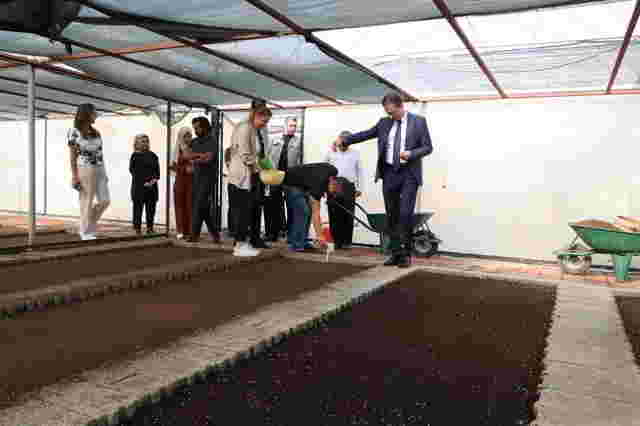 Kaymakam Karaman, 300 bin mevsimlik çiçeğin ilk tohumunu attı