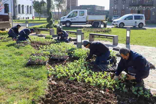 Kavşak ve refüjler çiçeklerle süslendi