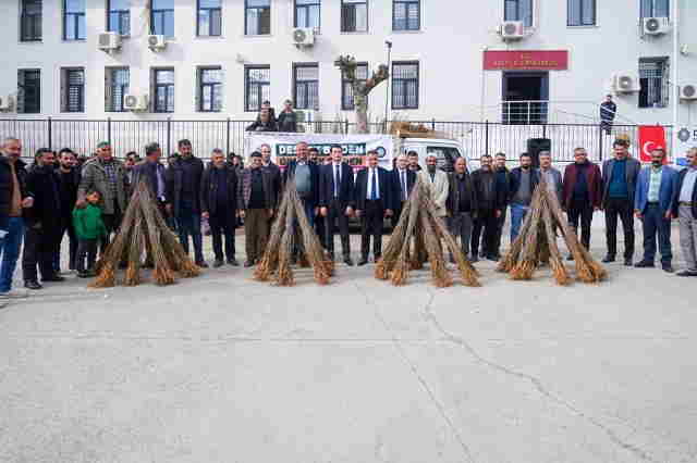 Üreticilere dut fidanı desteği