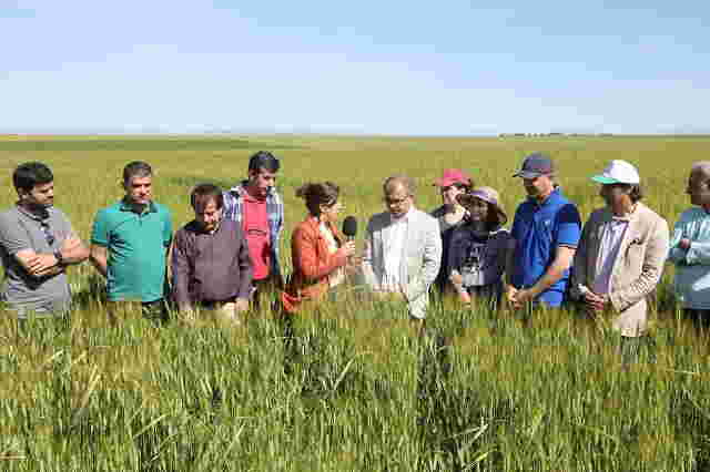 Diyarbakır’da Süne Mücadelesi Son Hızla Devam Ediyor