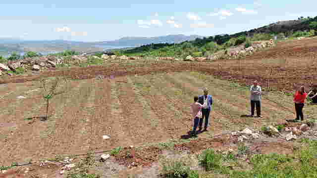 Ergani’de Salep Yetiştiriciliğini Geliştirme Projesi Uygulanıyor