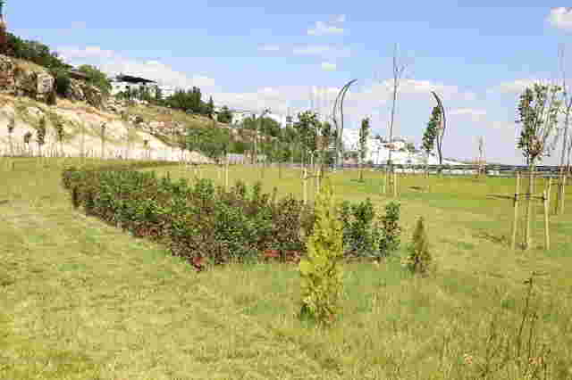 Eğil girişinde peyzaj çalışmaları tamamlandı