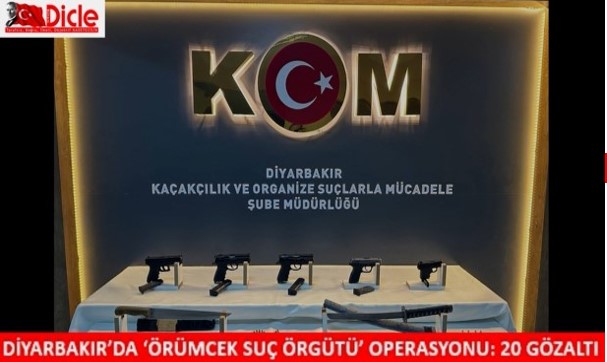 Diyarbakır’da ‘örümcek suç örgütü’ operasyonu: 20 gözaltı