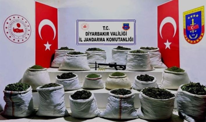 Diyarbakır’da 3 milyon 684 bin 160 kök esrar bitkisi ele geçirildi