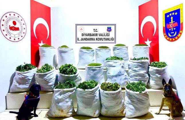Diyarbakır’da 285 kilogram esrar, 60 bin 596 kök esrar bitkisi ele geçirildi