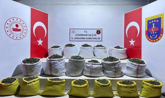 Diyarbakır’da 7 ayrı noktada 270 bin kök kenevir bitkisi ele geçirildi
