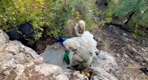 Diyarbakır’da 102 milyon 594 bin kök kenevir bitkisi, 47 ton 60 kilogram esrar ele geçirildi