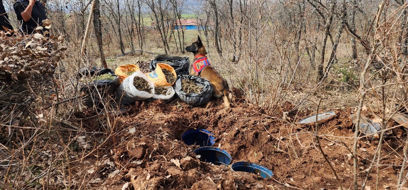 Diyarbakır’da 43 kilogram esrar ele geçirildi, 1 şüpheli yakalandı