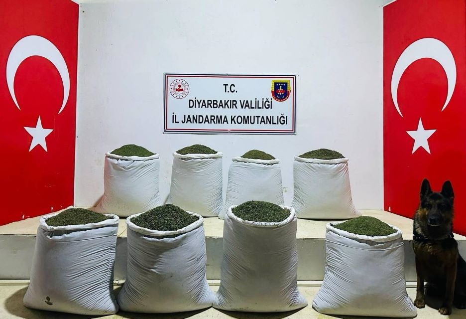 Diyarbakır’da 169 kilogram esrar ele geçirildi