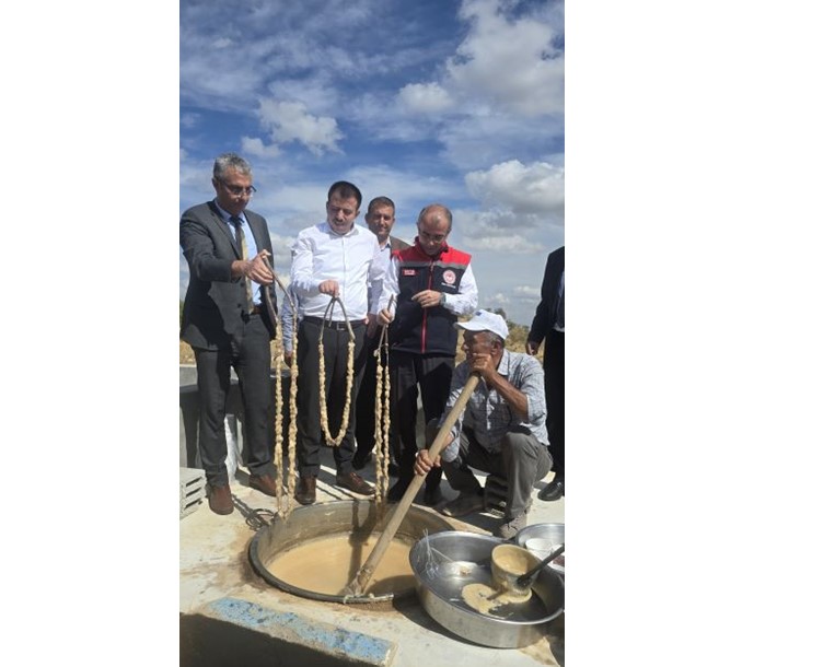 Dicle İlçesinde bağ bozumu etkinliği gerçekleştirildi