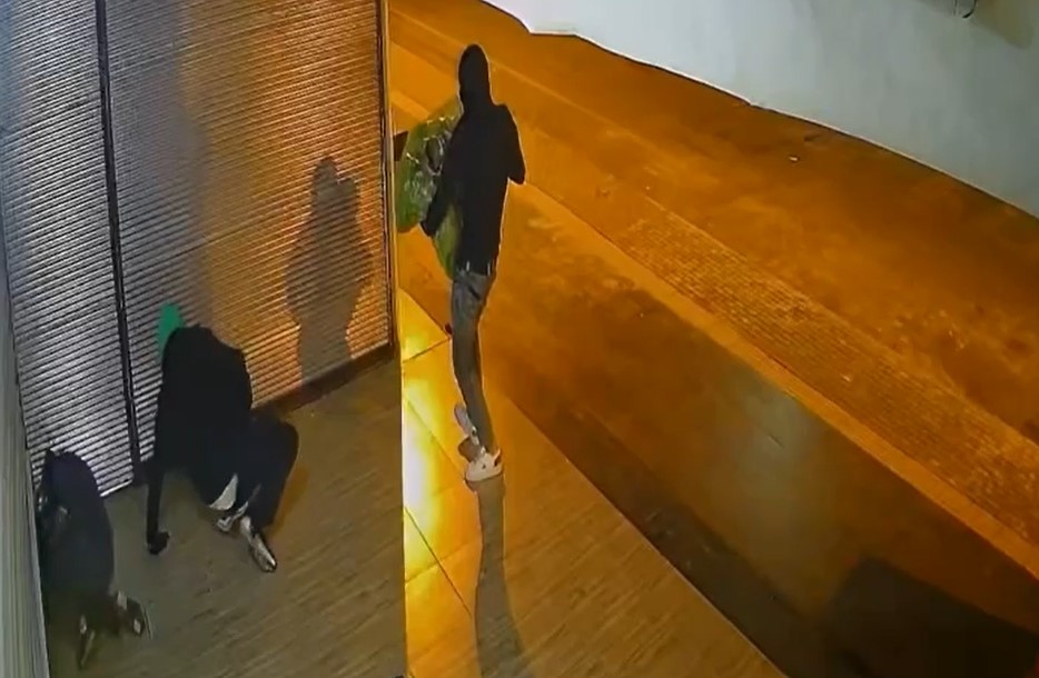 DİYARBAKIR POLİSİNDEN HIRSIZLARA GÖLGE OPERASYONU: 9 TUTUKLAMA