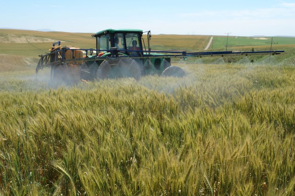 Diyarbakır Tarımına Dev Yatırım: IPARD’dan 158 Milyon TL Hibe Desteği