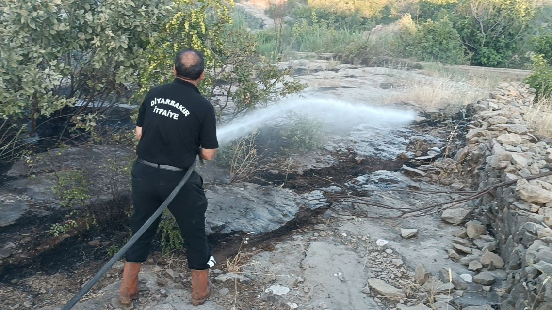 Dicle İlçesi kırsalında çıkan örtü yangını kontrol altına alındı
