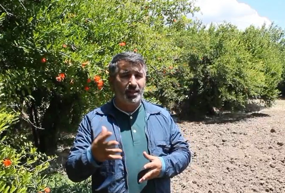 HÜDA PAR Dicle İlçe Başkanı Ali Göçtürk’ten İlçeye nar işleme tesisi talebi