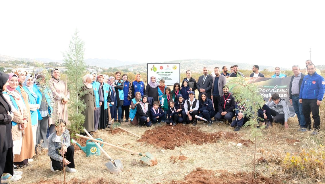 Kocaköy’de TDV Hatıra Ormanı Oluşturuldu