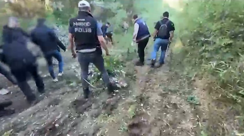 DİYARBAKIR’DA 12 BİN 174 KÖK KENEVİR BİTKİSİ ELE GEÇİRİLDİ