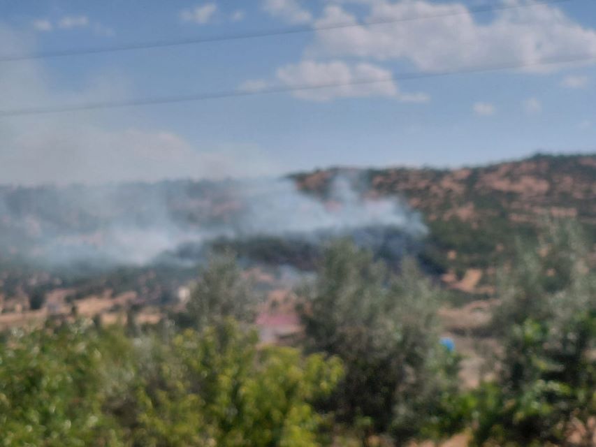 Dicle İlçesinde örtü yangını