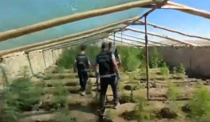 DİYARBAKIR’DA 5 BİN 400 KÖK KENEVİR ELE GEÇİRİLDİ