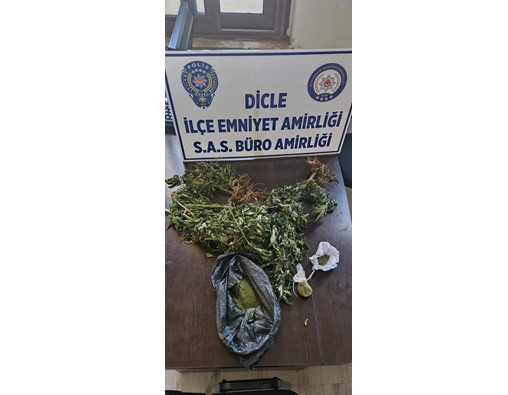 Dicle’de devriye görevi yapan polis 12 kök kenevir, 106,7 gram kubar esrar ele geçirdi