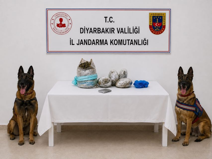 Diyarbakır’da uyuşturucu operasyonu: 217 binden 608 kök kenevir ve skunk imha edildi