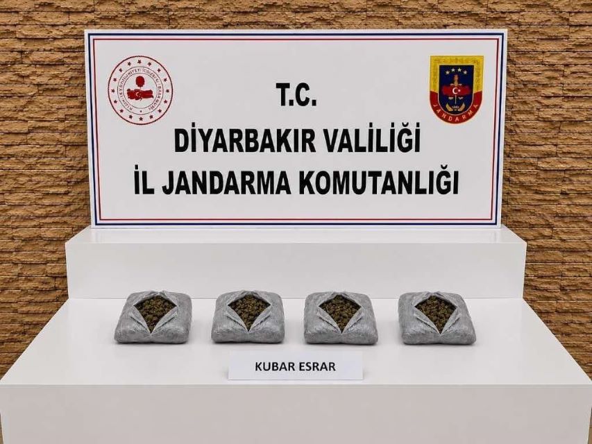 Diyarbakır’da 57 bin 702 kök kenevir/skunk ele geçirildi