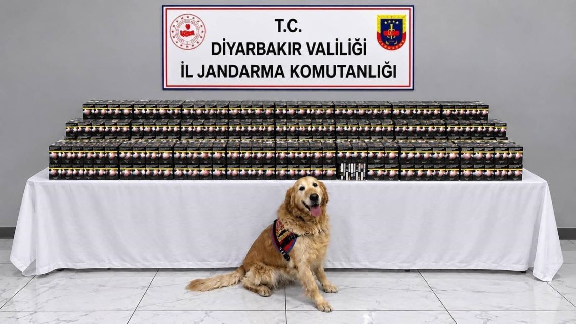 Diyarbakır’da kaçakçılık operasyonlarında 29 şüpheli hakkında yasal işlem yapıldı